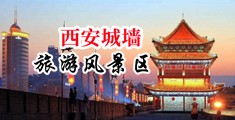 啊啊抽插入小穴视频中国陕西-西安城墙旅游风景区
